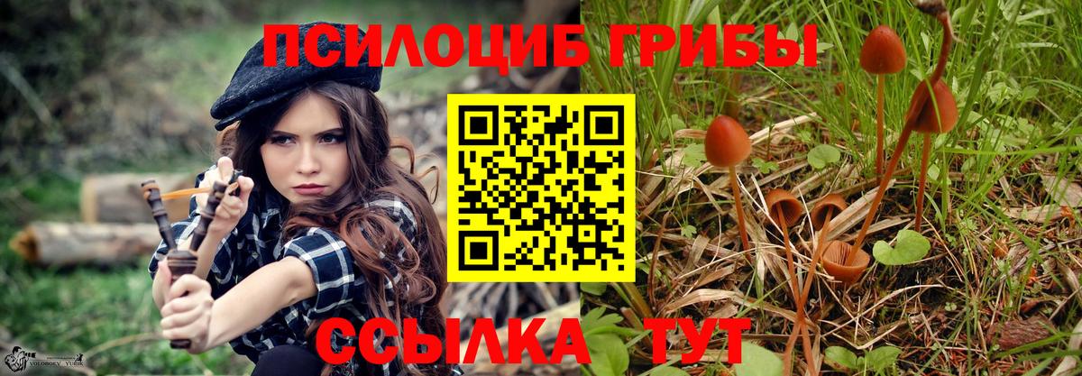 Галлюциногенные грибы мицелий Смоленск